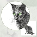 Kot z zielonymi oczami – grafika – zdjęcie 3