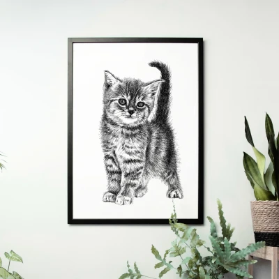 Kotek - grafika czarno-biała