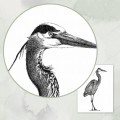 Czapla – grafika czrno-biała – zdjęcie 4
