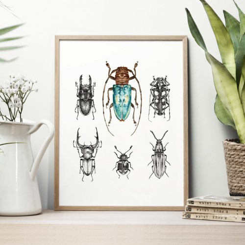 Plakat z niebieskim chrząszczem. Art Print