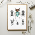 Plakat z niebieskim chrząszczem. Art Print – zdjęcie 2