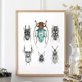 Plakat z niebieskim chrząszczem. Art Print – zdjęcie 3