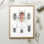 Plakat z czerwonym chrząszczem.  Art Print