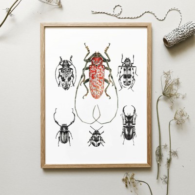 Plakat z czerwonym chrząszczem.  Art Print