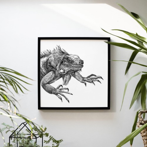 Iguana – grafika czarno-biała