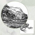 Iguana – grafika czarno-biała – zdjęcie 3