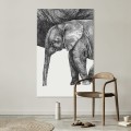 Słoń – Art Print na płótnie