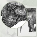 Słoń – Art Print na płótnie – zdjęcie 6