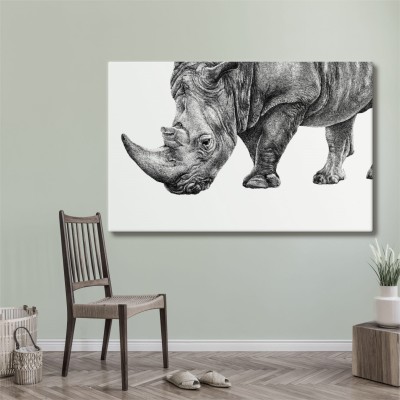Nosorożec -  Art Print na płótnie