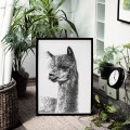 Lama – grafika czarno-biała – zdjęcie 2