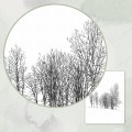 Drzewa – zdjęcie 3