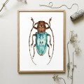 Niebieski żuk – akwarela. Art Print – zdjęcie 3