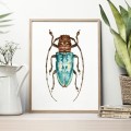 Niebieski żuk – akwarela. Art Print – zdjęcie 2