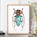 Niebieski żuk – akwarela. Art Print – zdjęcie 4
