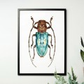 Niebieski żuk – akwarela. Art Print