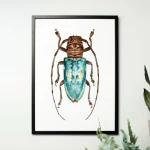 Niebieski żuk - akwarela.  Art Print