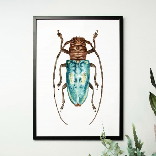Niebieski żuk – akwarela. Art Print