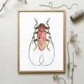 Czerwony żuk – akwarela. Art Print – zdjęcie 4