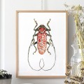 Czerwony żuk – akwarela. Art Print – zdjęcie 2