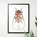 Czerwony żuk – akwarela. Art Print