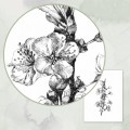 Kwiat jabłoni – grafika czarno-biała – zdjęcie 3
