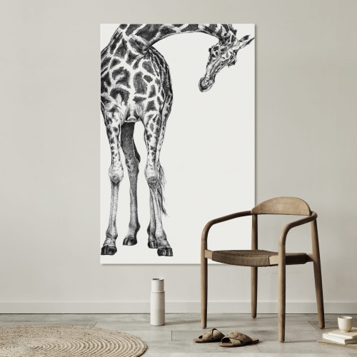 Żyrafa – Art Print na płótnie