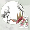 Ciemierniki – akwarela. Art Print – zbliżenie detalu
