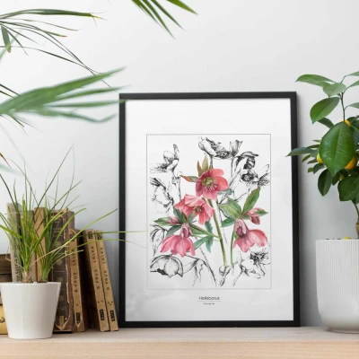 Ciemierniki - akwarela. Art Print