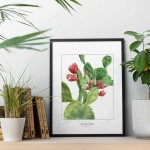 Opuncja - akwarela.  Art Print