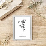 Aster drobnokwiatowy - czarno-biała grafika w oprawie