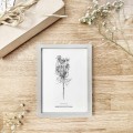 Dzika marchew – grafika czarno-biała w oprawie – zdjęcie 2