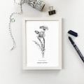 Mniszek lekarski – grafika czarno-biała w oprawie – zdjęcie 2