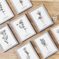 Aster drobnokwiatowy – czarno-biała grafika w oprawie – zdjęcie 3
