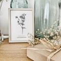 Aster drobnokwiatowy – czarno-biała grafika w oprawie – zdjęcie 5