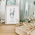 Cykoria podróżnik – grafika czarno-biała w oprawie – zdjęcie 2