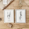 Cykoria podróżnik – grafika czarno-biała w oprawie – zdjęcie 6