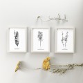 Konwalia majowa – dla tych, którzy mają wielką moc – zdjęcie 4
