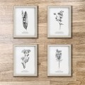 Konwalia majowa – dla tych, którzy mają wielką moc – zdjęcie 7