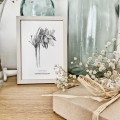 Sasanka zwyczajna – grafika czarno-biała w oprawie – zdjęcie 2