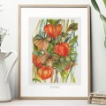 Miechunka – akwarela. Art Print – zdjęcie 2