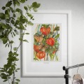 Miechunka – akwarela. Art Print – aranżacja we wnętrzu