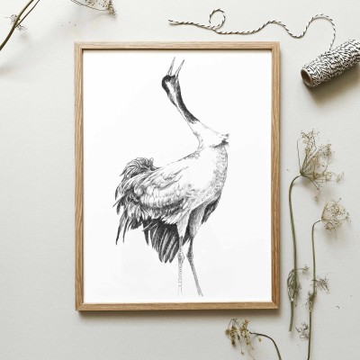 Żuraw - grafika czarno biała