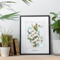 Kwitnąca jabłoń – akwarela. Art Print – zdjęcie 3