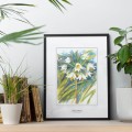 Czosnek niedźwiedzi – akwarela. Art Print