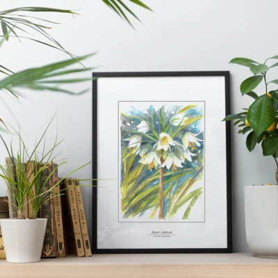 Czosnek niedźwiedzi - akwarela.  Art Print