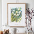 Czosnek niedźwiedzi – akwarela. Art Print – zdjęcie 4