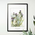 Osty – akwarela. Art Print – aranżacja we wnętrzu, ujęcie 2