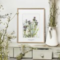 Osty – akwarela. Art Print – aranżacja we wnętrzu