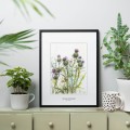 Osty – akwarela. Art Print