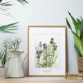Osty – akwarela. Art Print – aranżacja we wnętrzu, ujęcie 3